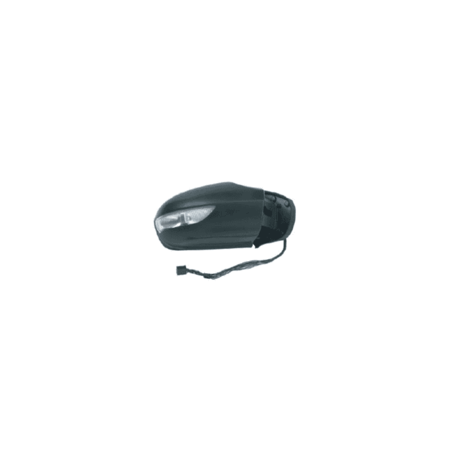 Door Mirror (1698100576)