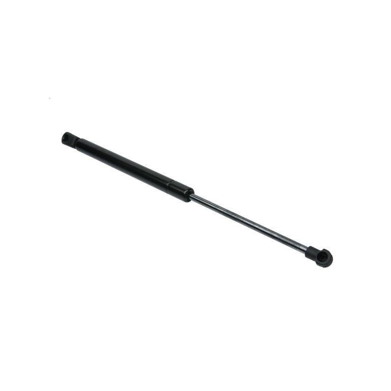 Strut (51237060550)